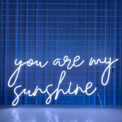 You Are My Sunshine Neon Sign Custom Wedding Decor